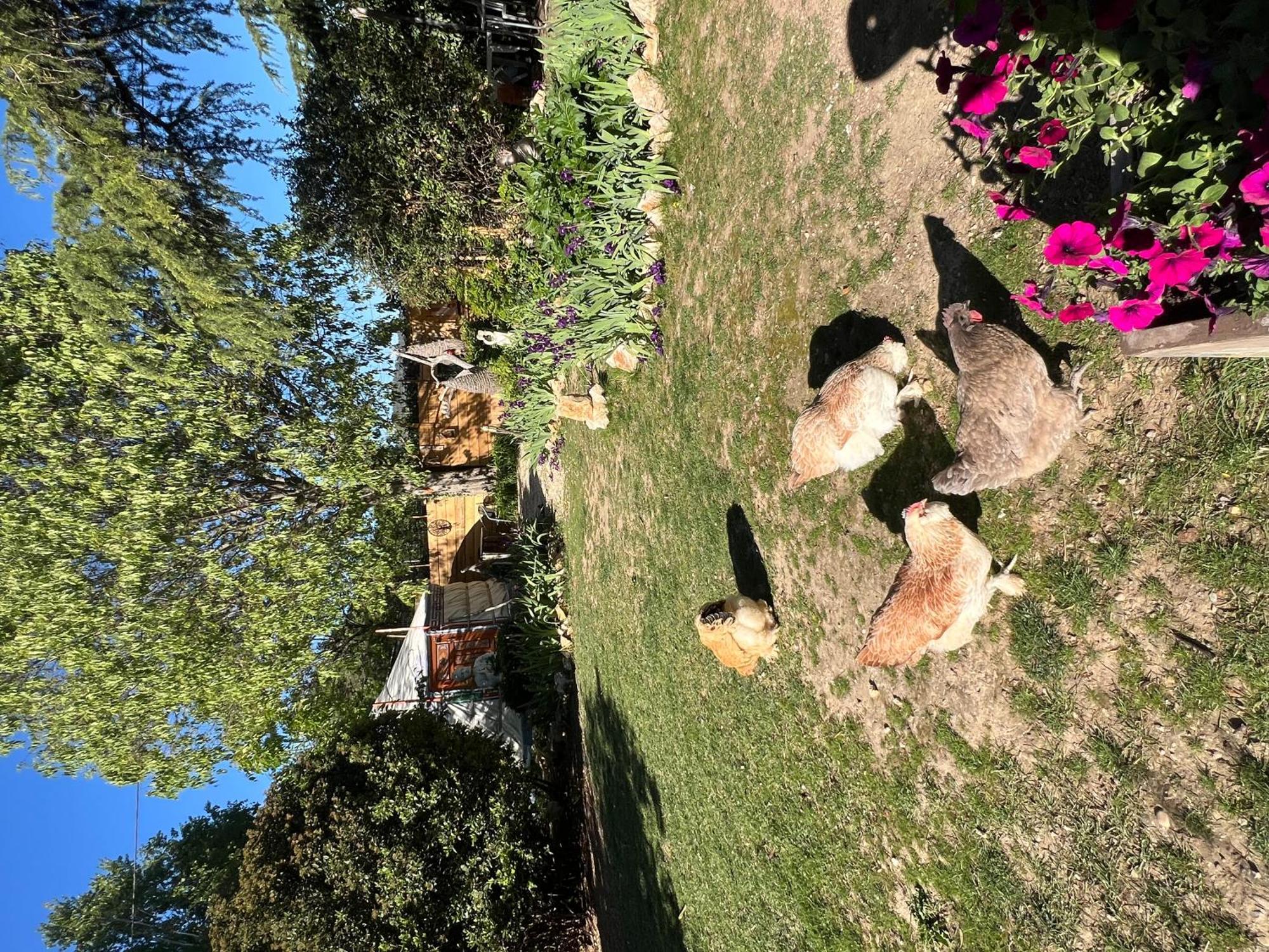 Bed and Breakfast Bastide Du Bonheur Saint Donat Gréoux-les-Bains Exterior foto