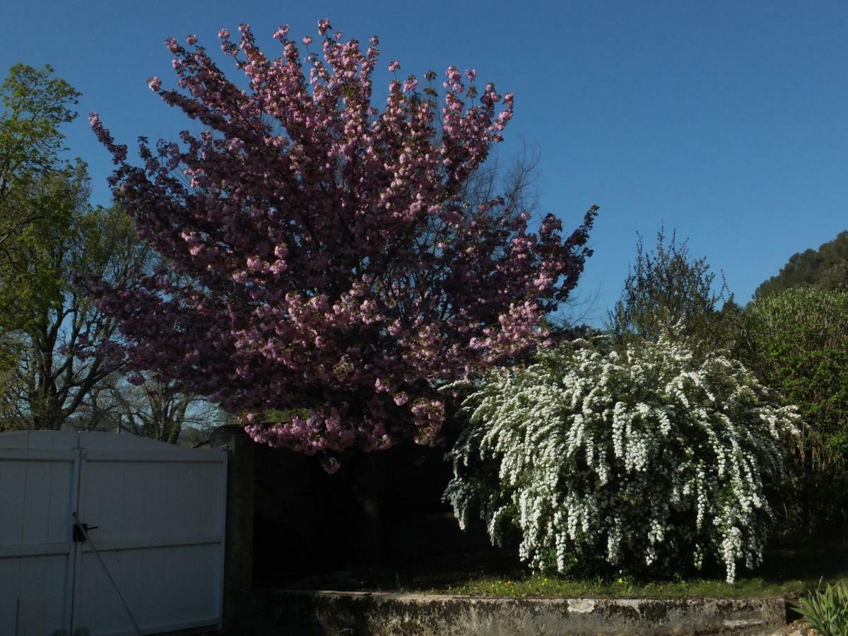Bed and Breakfast Bastide Du Bonheur Saint Donat Gréoux-les-Bains Exterior foto